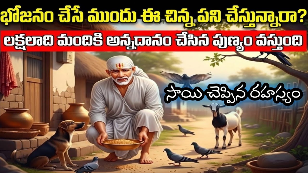 అన్నం తినే ముందు ఈ ఒక్క పని చేస్తే చాలు||saibaba message||సాయిఈరోజు సాయి అమృత పలుకులు 1453
