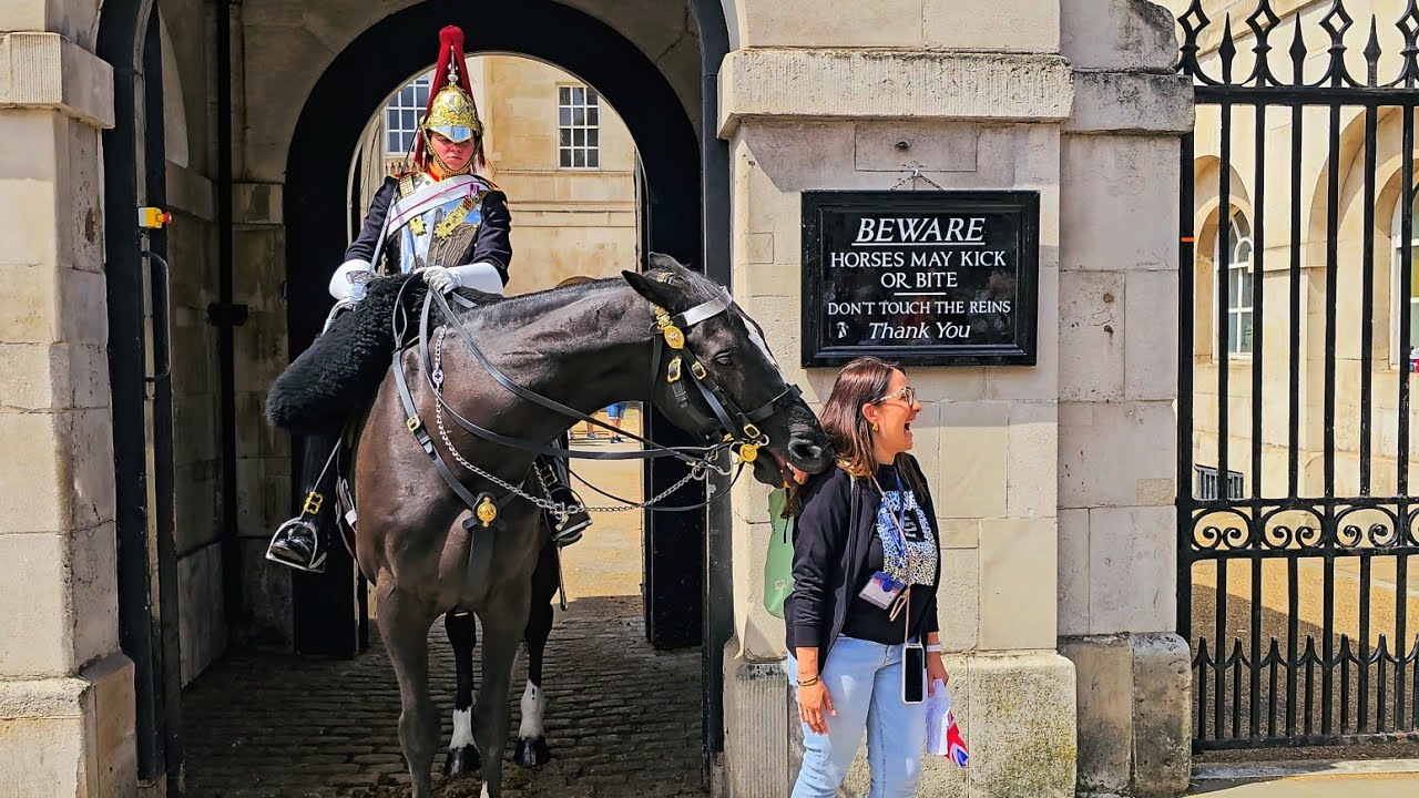 ORMONDE DESTROYS MULTIPLE IDIOT TOURISTS WHO INVADE HIS PERSONAL SPACE at Horse Guards!