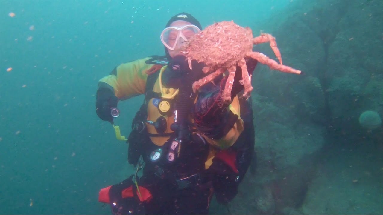 Porthkerris Divers - Head for the Manacles. BSAC Spirit