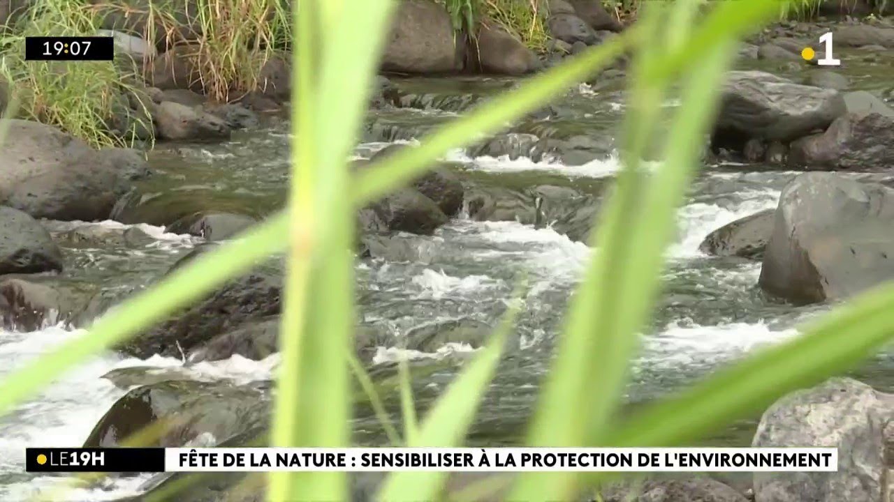 L'Ilet Quinquina comme terrain d'apprentissage pour sensibiliser à la protection de l'environnement