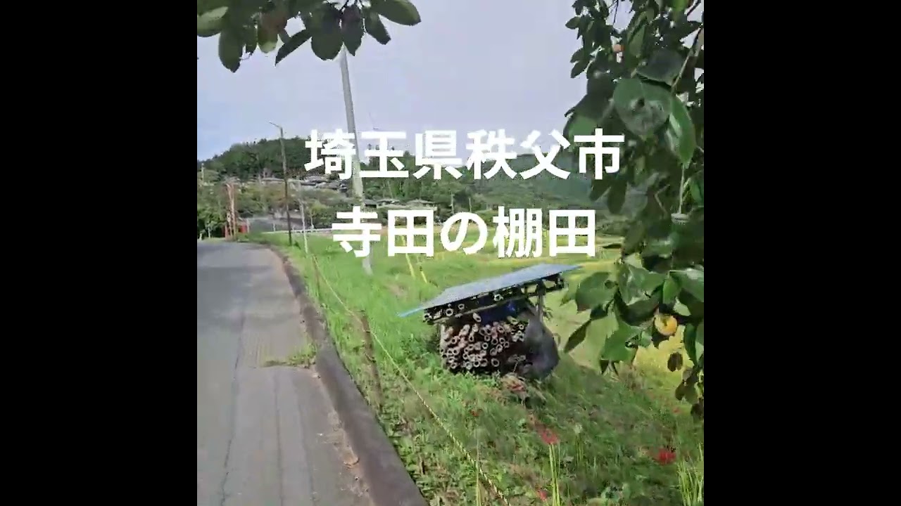 埼玉県秩父市　贄川宿(にえかわしゅく)かかしの里、横瀬町　寺坂棚田　　Japan, Saitama , Chichibu City,  Niekawa-juku,  Yokose Town,