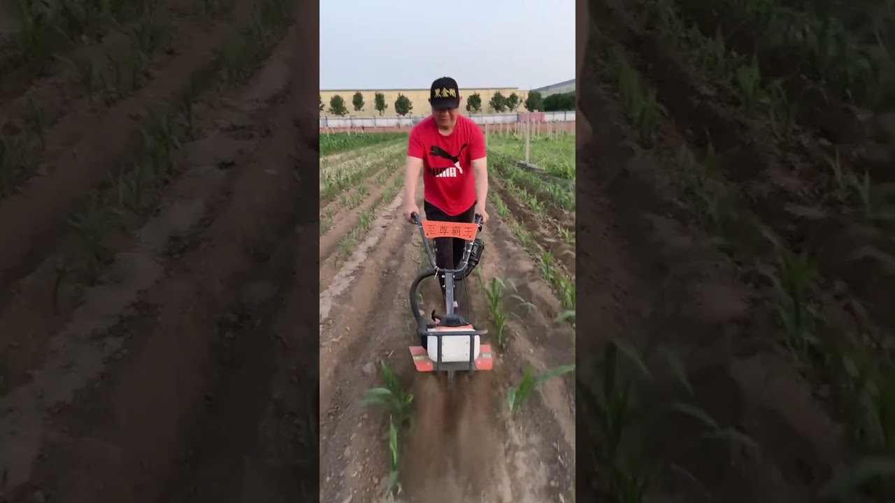 Small trencher Weeding Machine Manufacturer Zongshen Power Tiller Small Ditching Machine..😱