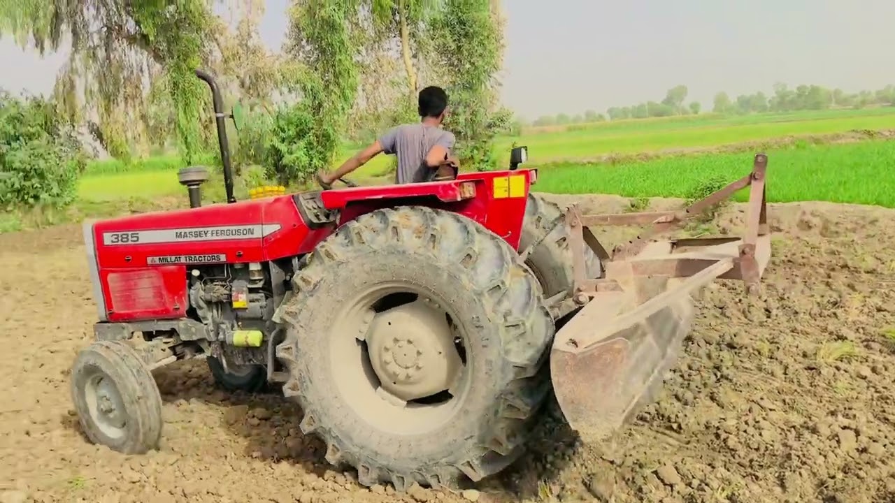 back blade mf 385 tractor k sath moonji k laye tayari kertay howay
