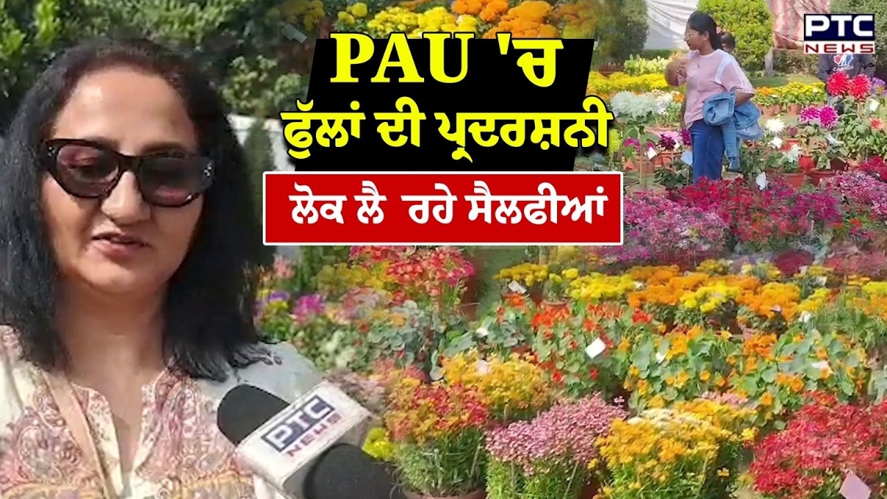 Ludhiana Flower Show : ਰੰਗ ਬਿਰੰਗੇ ਫੁੱਲ ਮੋਹ ਰਹੇ ਦਿਲ, ਹਰ ਕੋਈ ਲੈ ਰਿਹਾ ਸੈਲਫੀ 'ਤੇ ਸੈਲਫੀ | Punjabi News