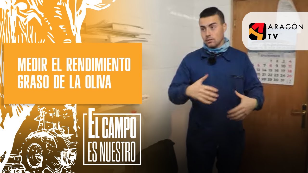 Toca medir el rendimiento graso de la oliva