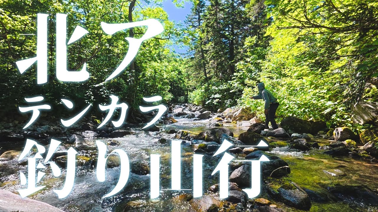 【釣り山行】ど素人でも北アルプスに潜む天然イワナを釣れるのか【薬師沢〜高天原〜船窪】