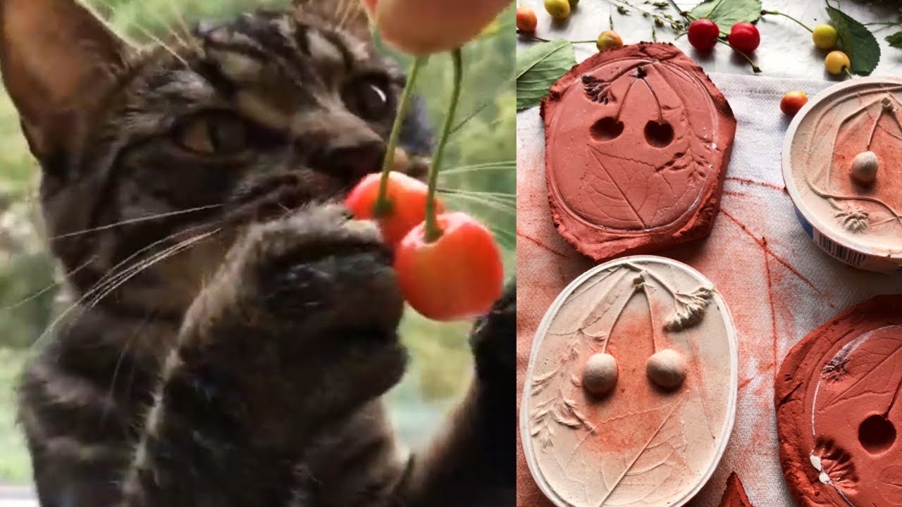 CHERRIES in plaster by KLEVER/ how to make plant fossils DIY tutorial