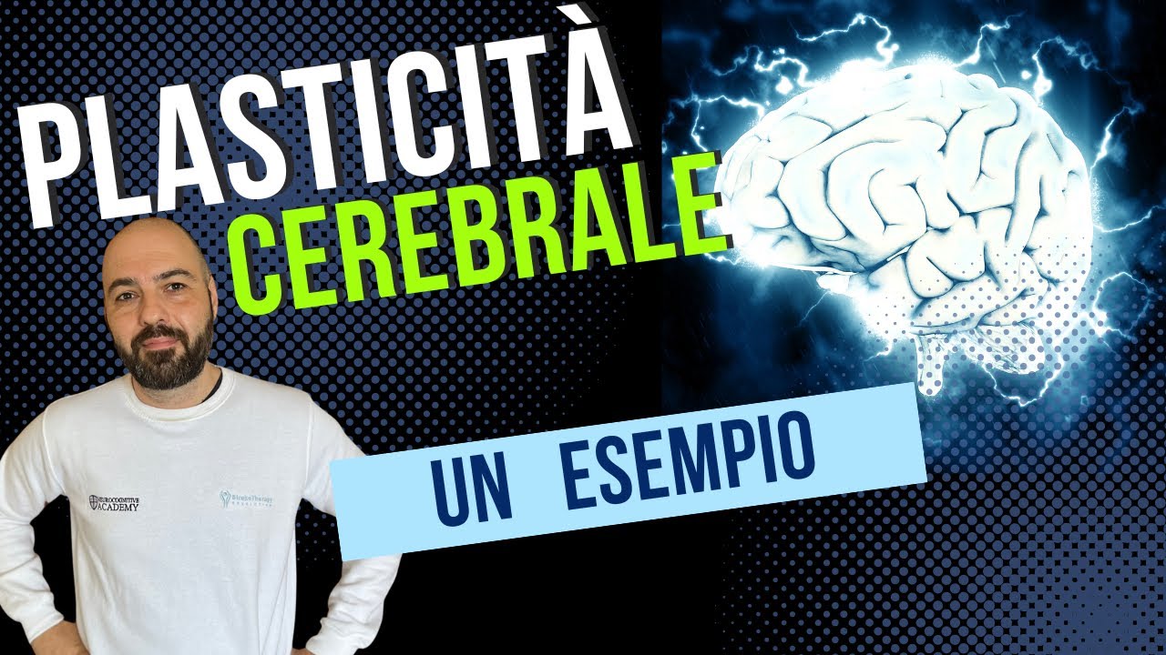 Plasticità Cerebrale: un Esempio