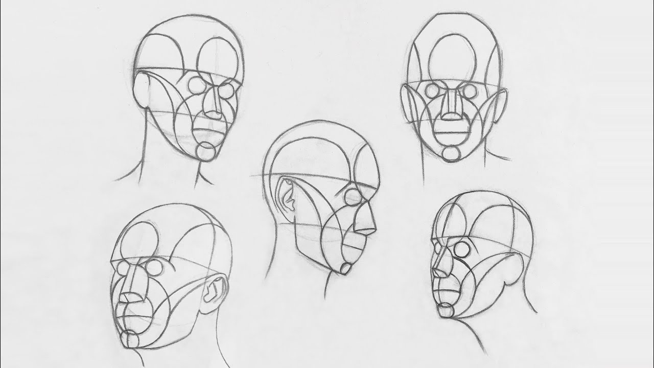 How to Draw Head from any angle using Reilly Method - 1