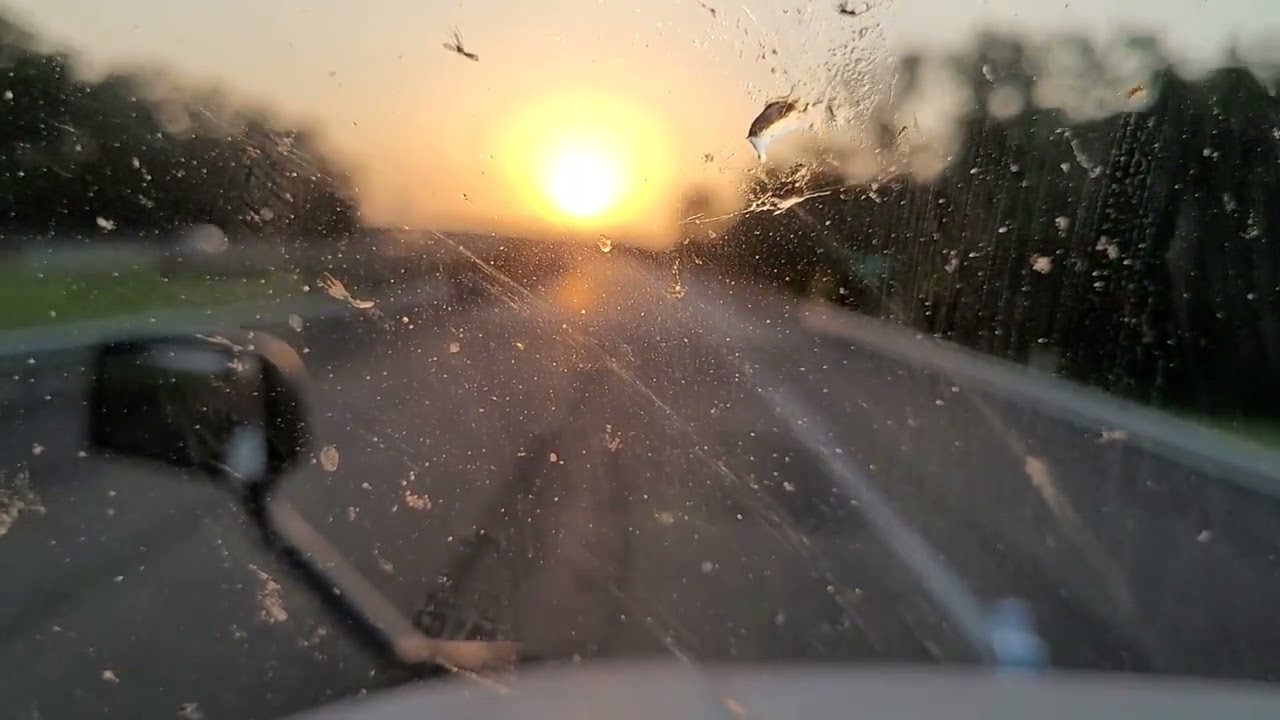 U.S. 61 S  Mississippi