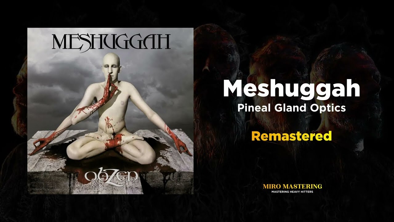 Meshuggah - Pineal Gland Optics (MASSIVE Remaster)