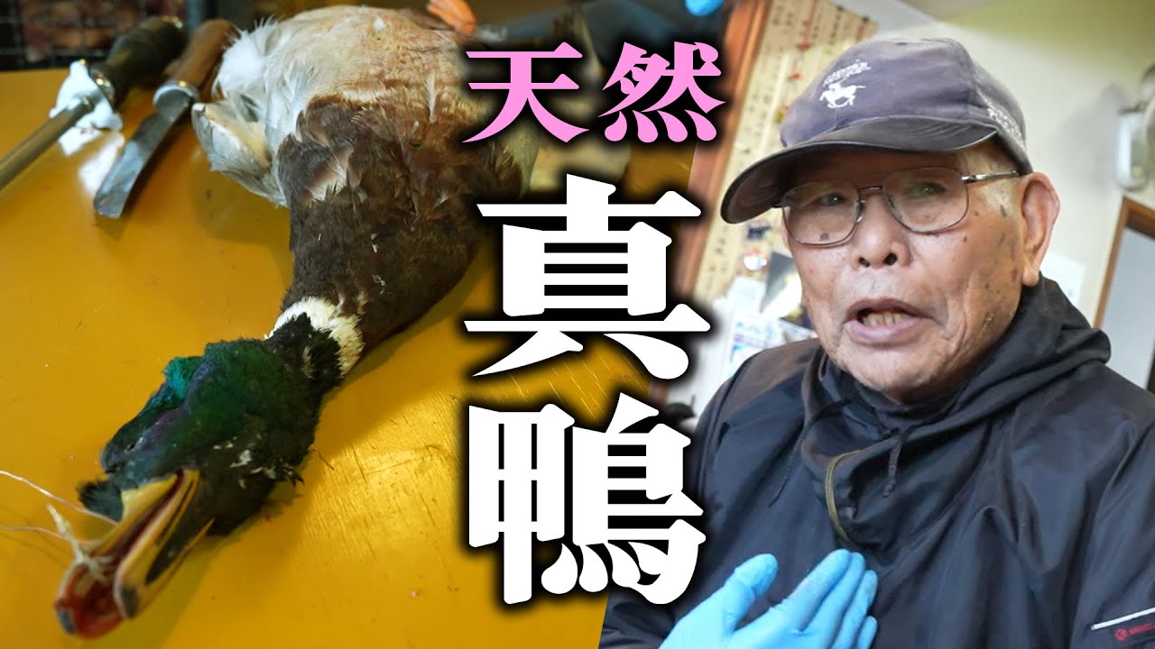 岩さんで天然の真鴨を鍋にして頂く
