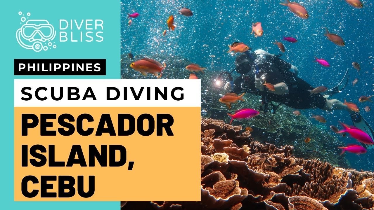 Scuba Diving Pescador Island in Moalboal, Cebu, Philippines