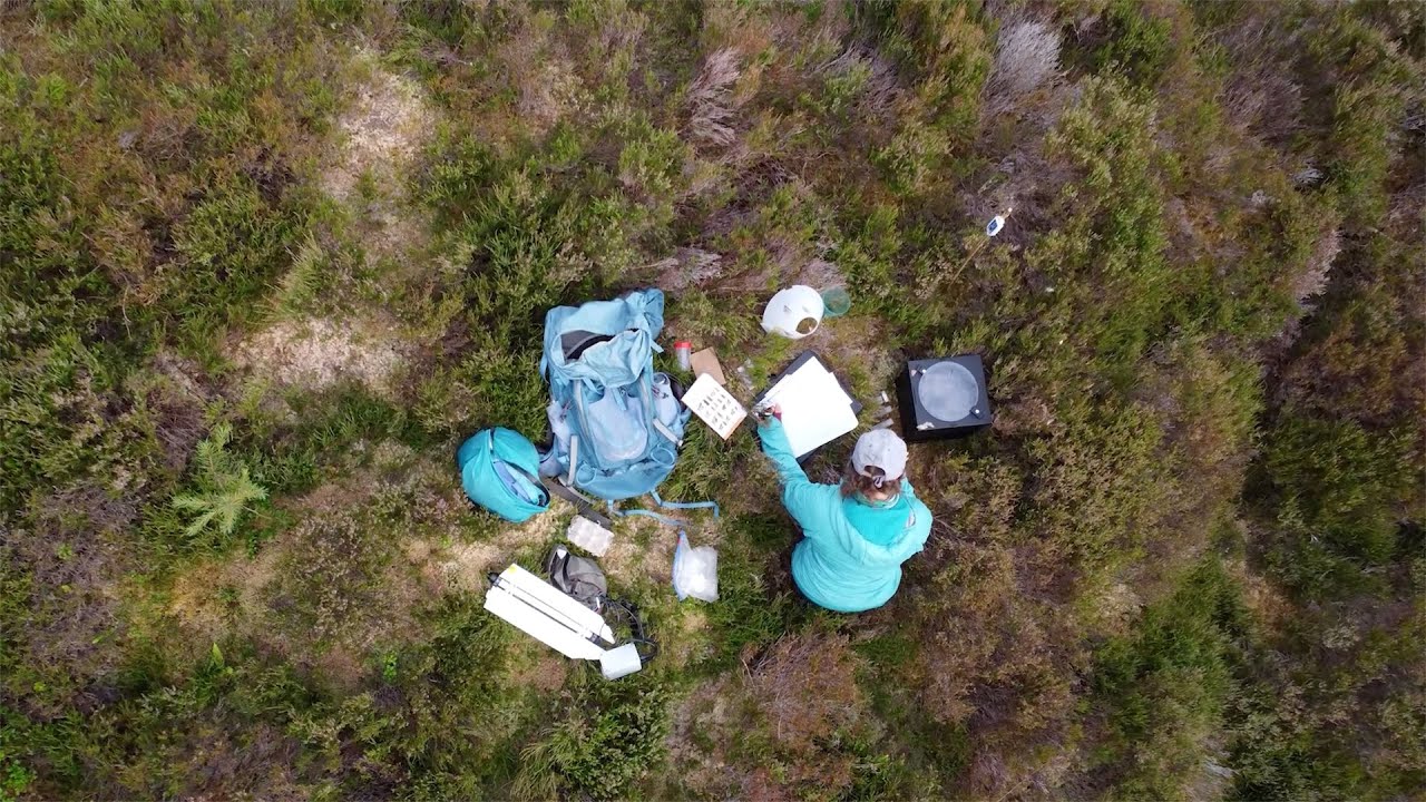 Scotland's Expanding Forests