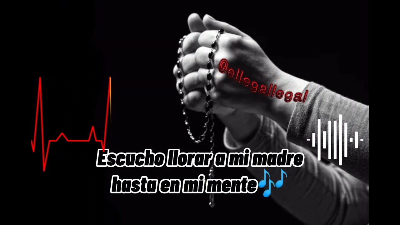 Neutro Shorty - 4 Paredes Lyrics - @Legal.Ec on TikTok