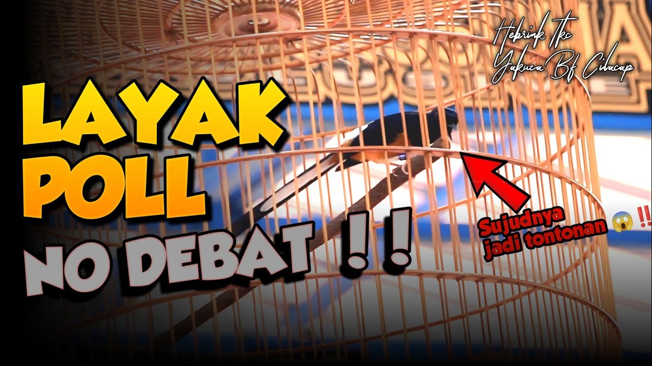 REAL JR‼️KUALITAS AKSINYA SUDAH TIDAK DIRAGUKAN LAGI