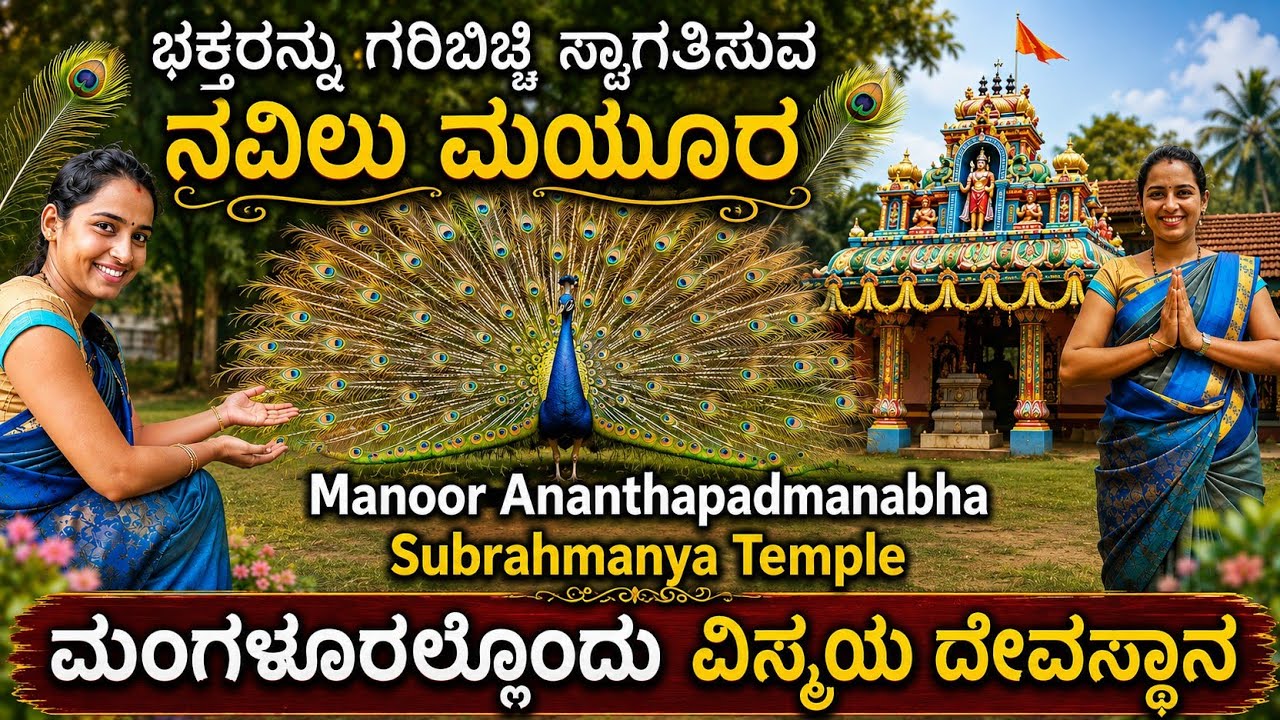ವಿಸ್ಮಯ.! ಇಲ್ಲಿ ನವಿಲೊಂದು ಪೂಜೆಯ ಹೊತ್ತಲ್ಲಿ ದೇವರ ದರ್ಶನ ಮಾಡುತ್ತೆ | Manoor Subrahmanya Temple | Mangalore