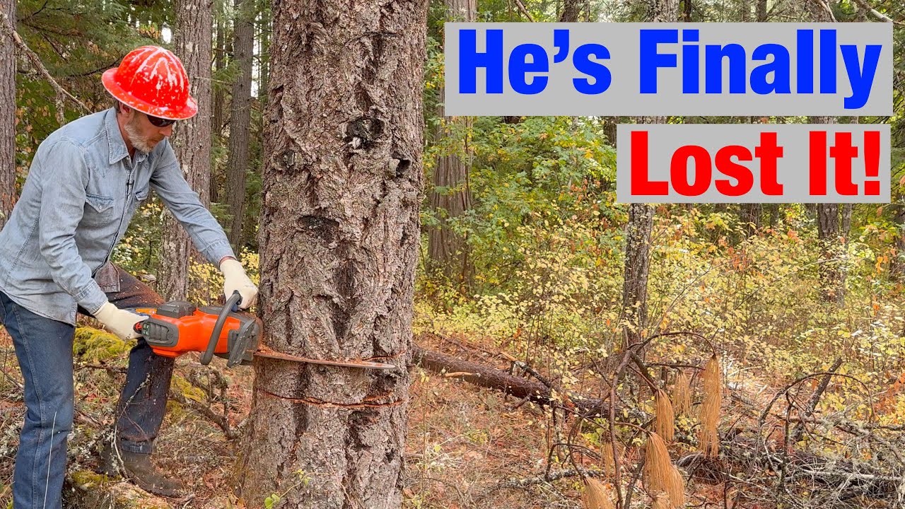 Wilson Runs Amok Goes On a Tree Killing Spree