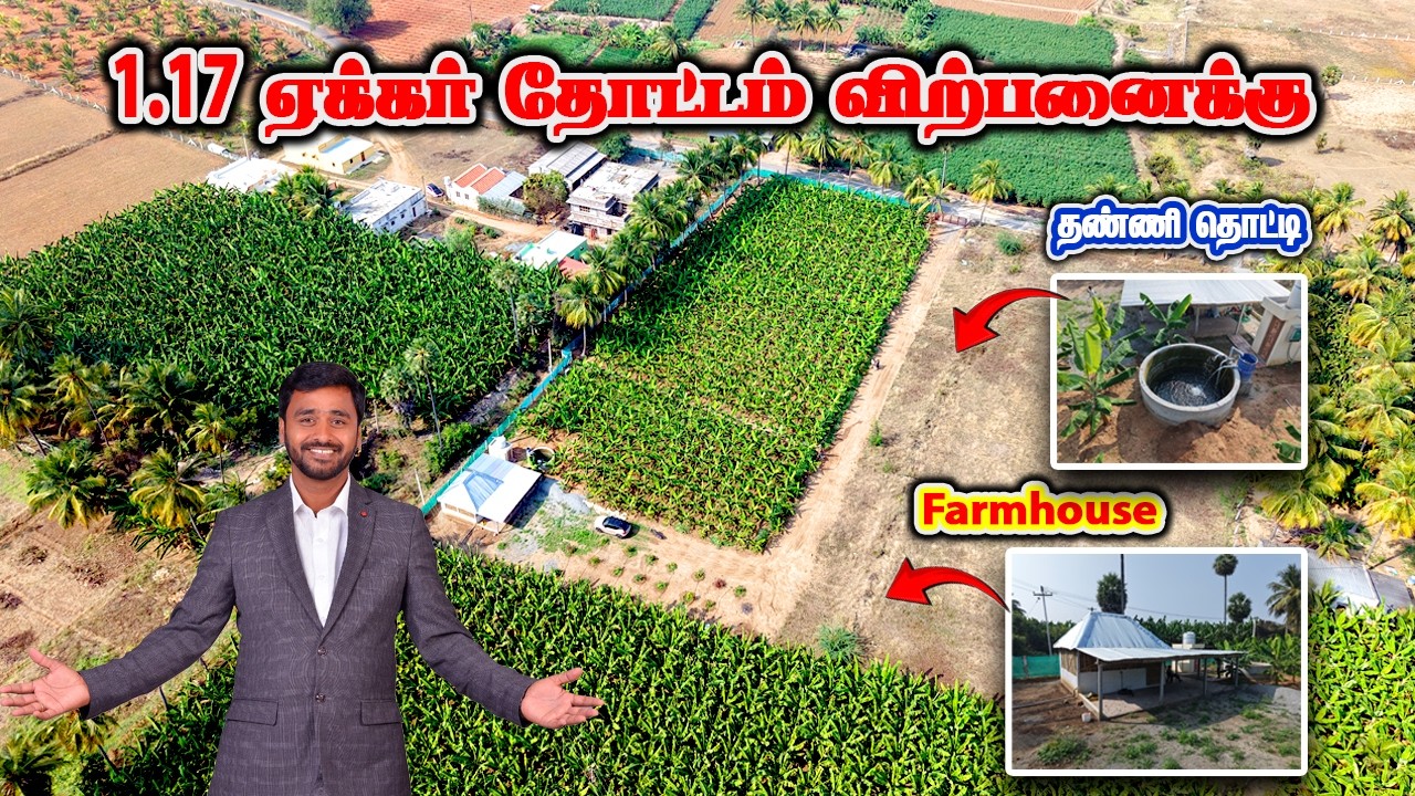 1.17 ஏக்கர் தோட்டம் விற்பனைக்கு | FarmLand For Sale in Puliyampatti