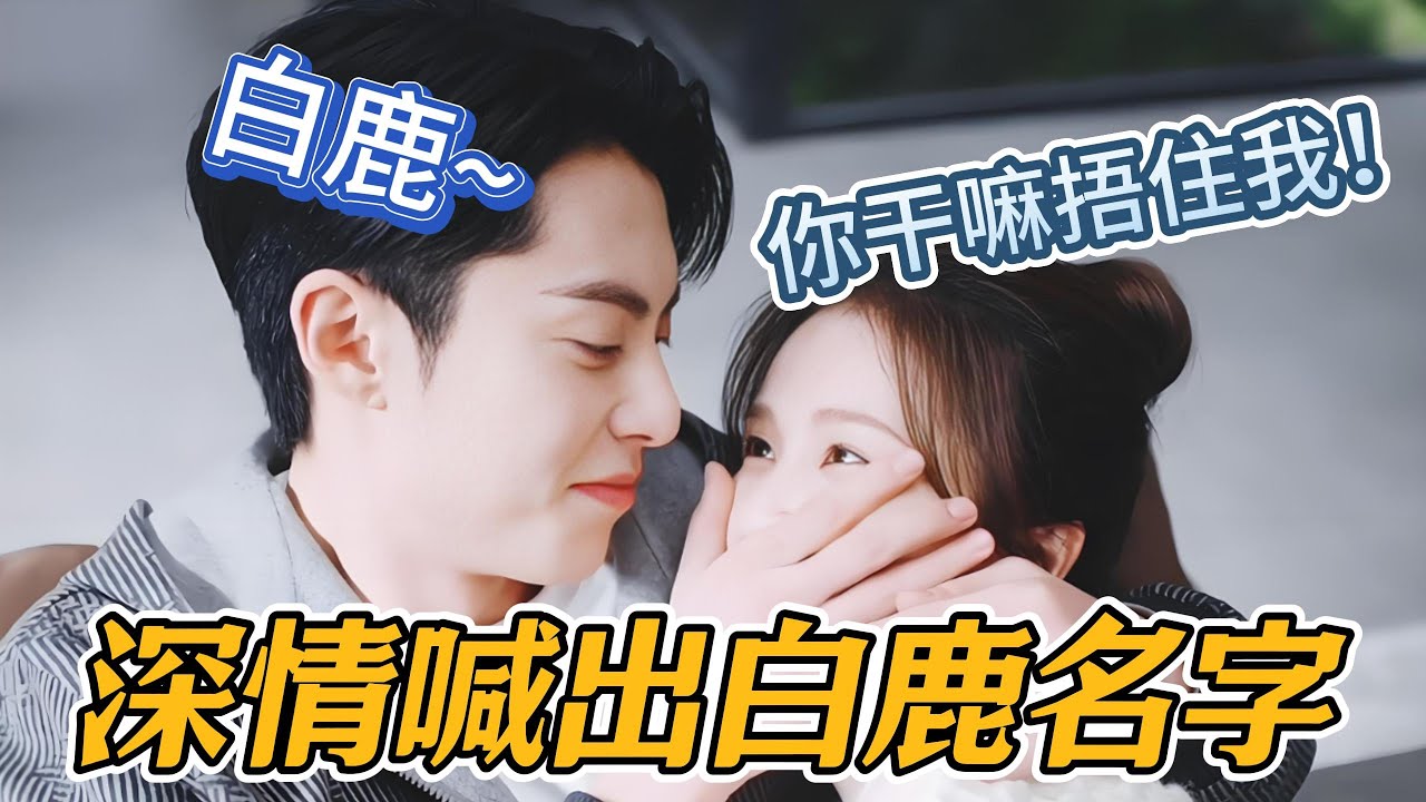 【王鹤棣×白鹿】当王鹤棣饱含深情喊出白鹿名字，踏实浪漫瞬间 “轰炸”，我直接原地躺平嗑糖。