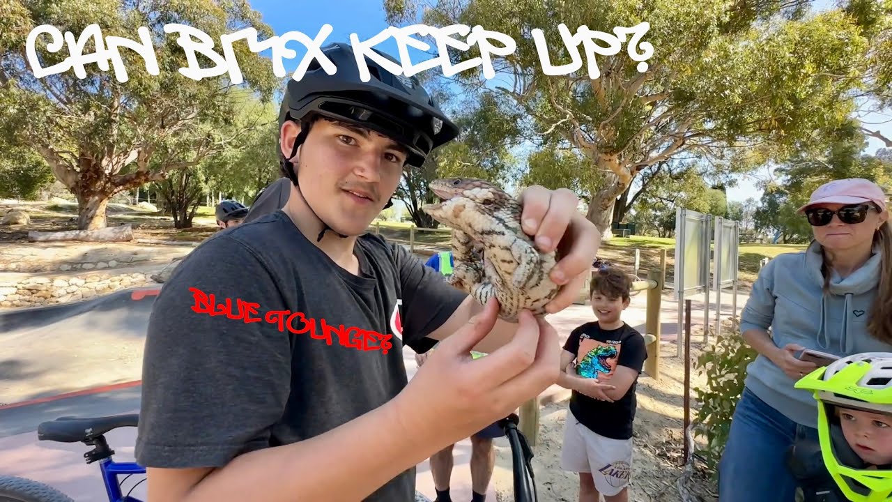 Is point Walter the ultimate dirt jump spot?