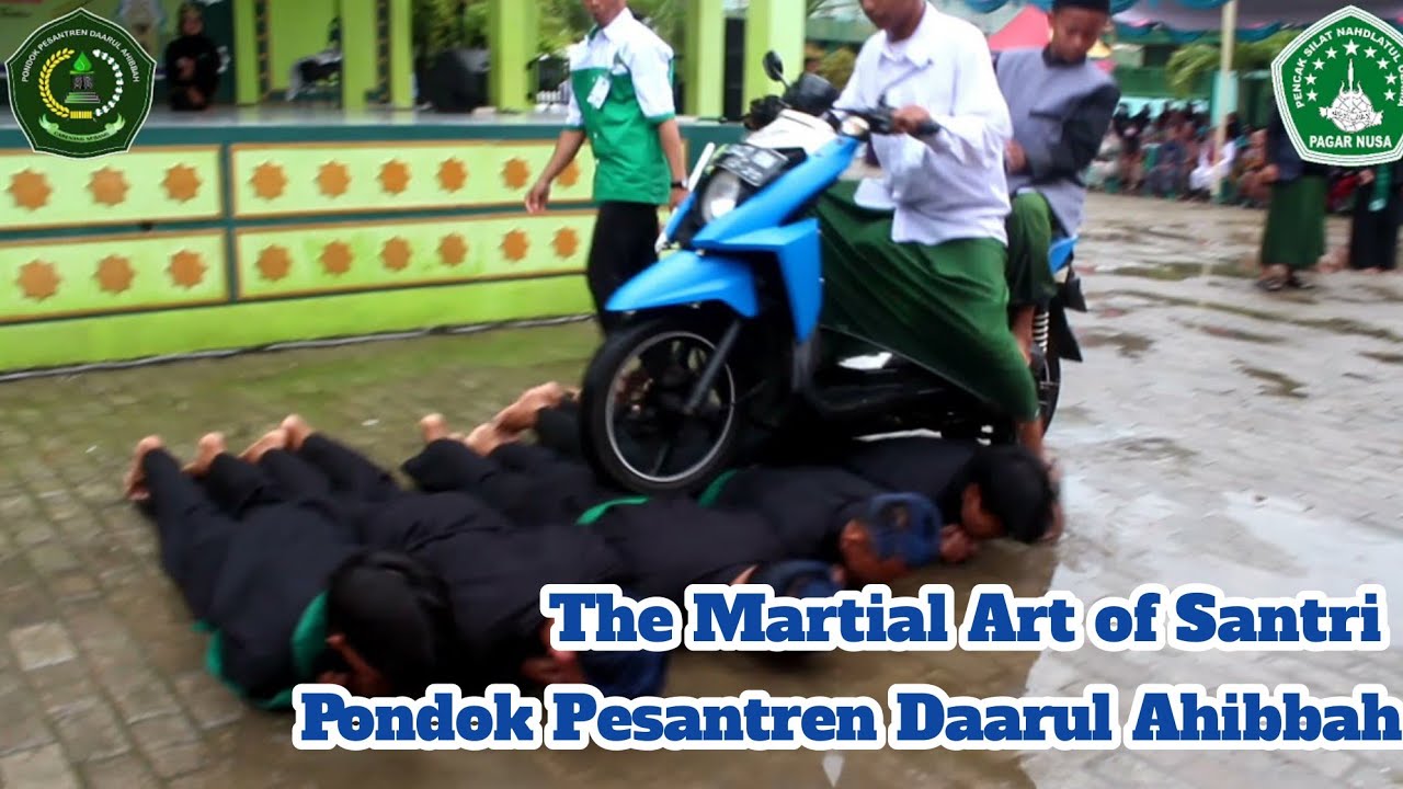 Penampilan Pagar Nusa Acara Wisuda Perdana Kitab Amtsilati Ponpes Daarul Ahibbah