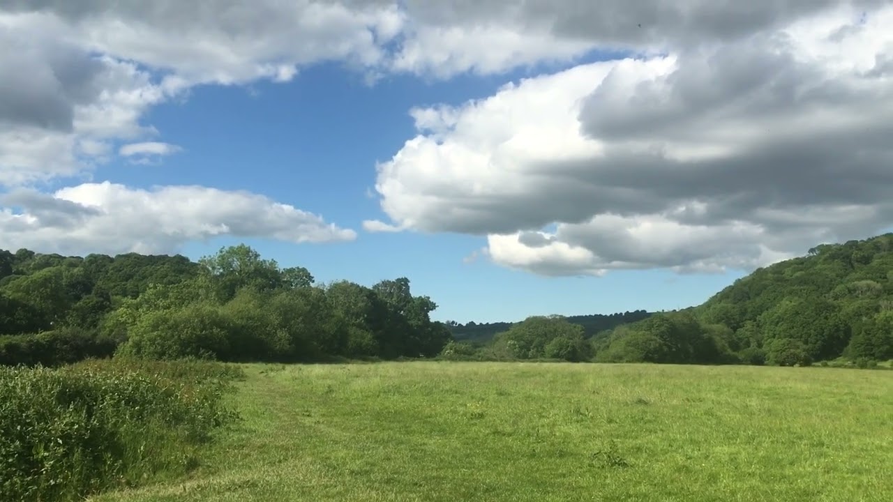 The walk along the River Ex in Mid Devon narrated by Samantha Adams