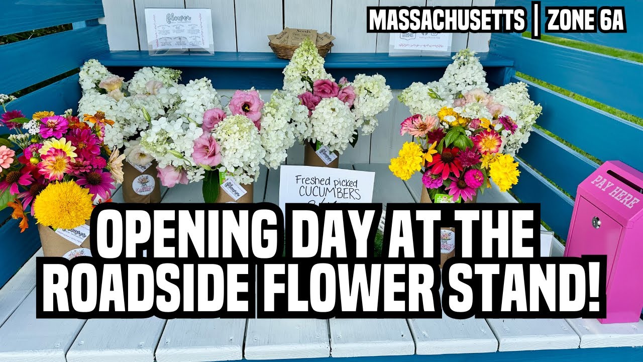 Opening Day at the Roadside Flower Stand! Last-Minute Blooms