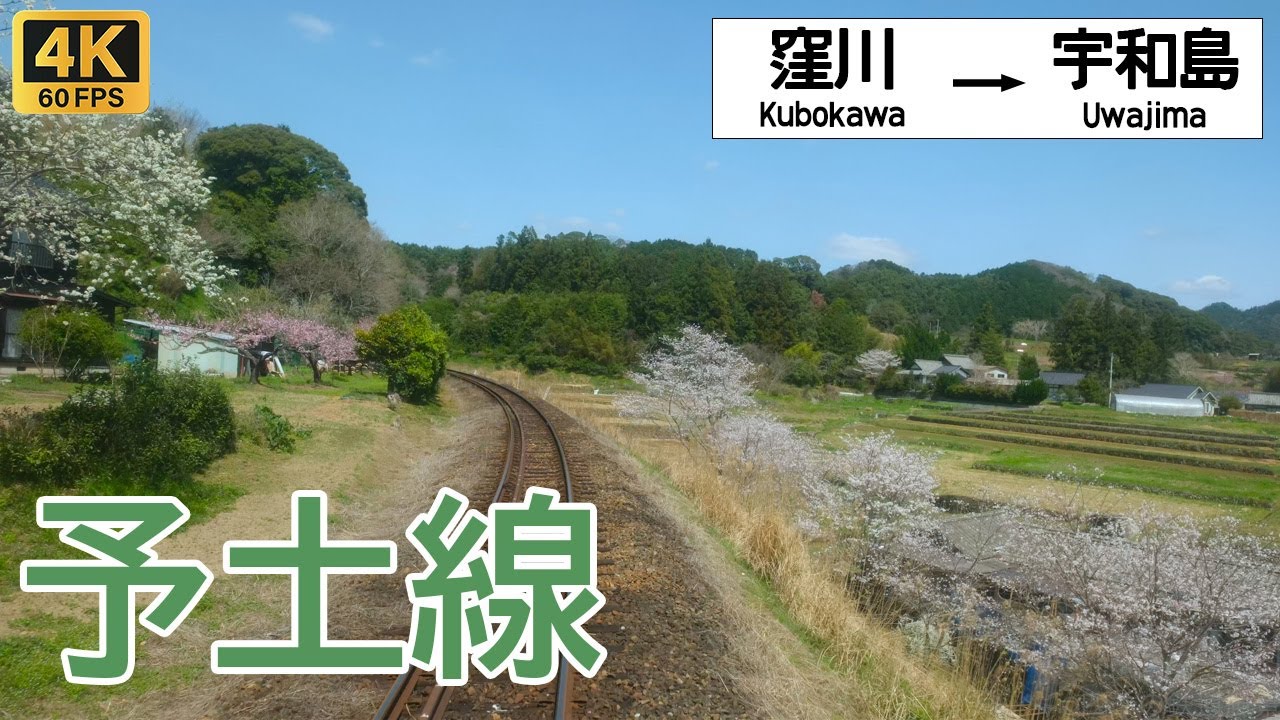【4K前面展望】桜舞う四万十川へ！土佐・春の旅｜予土線 窪川〜宇和島 / Cab View Yodo Line Sakura Train Ride in Tosa 超広角 4K60fps