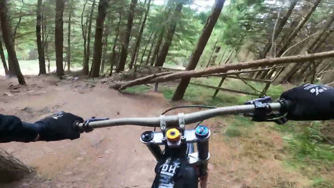 Gold Run Innerleithen DH Trails