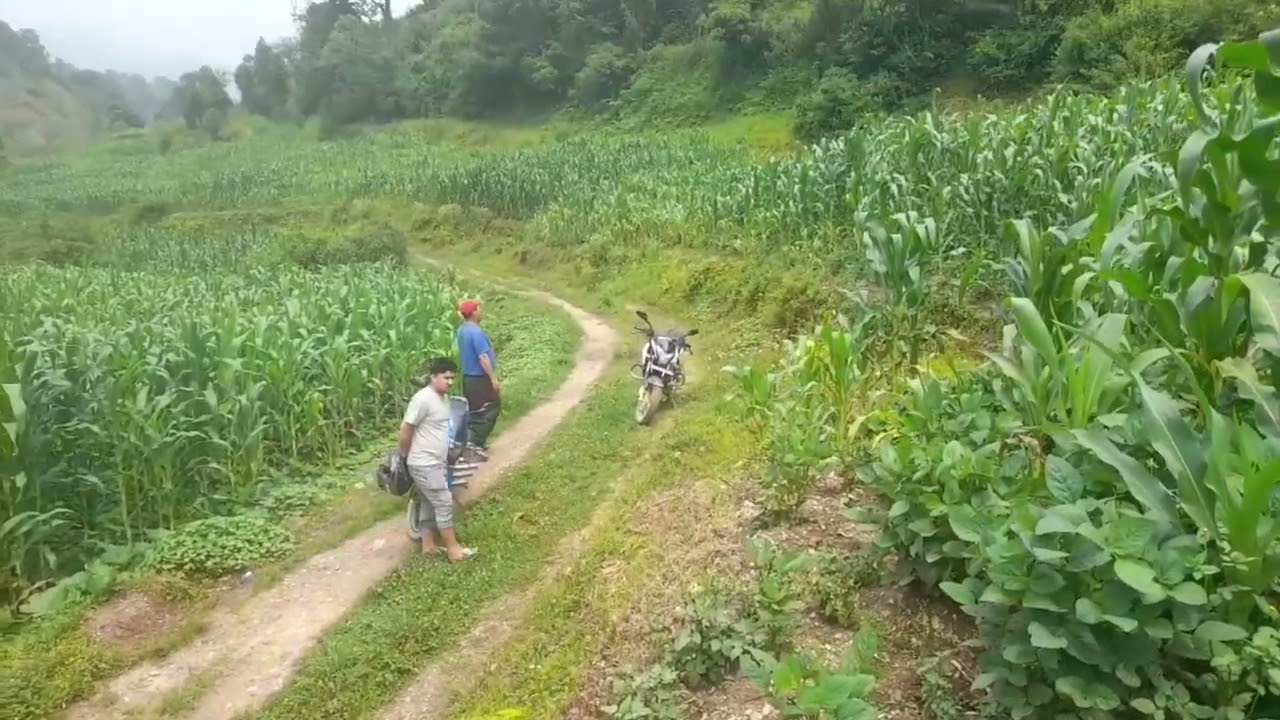 Lalitpur ma sasto jagga l  ।9765485859 । तीन लाख 50 हजार  मात्र l sasto ghar jagga Kathmandu  nepal