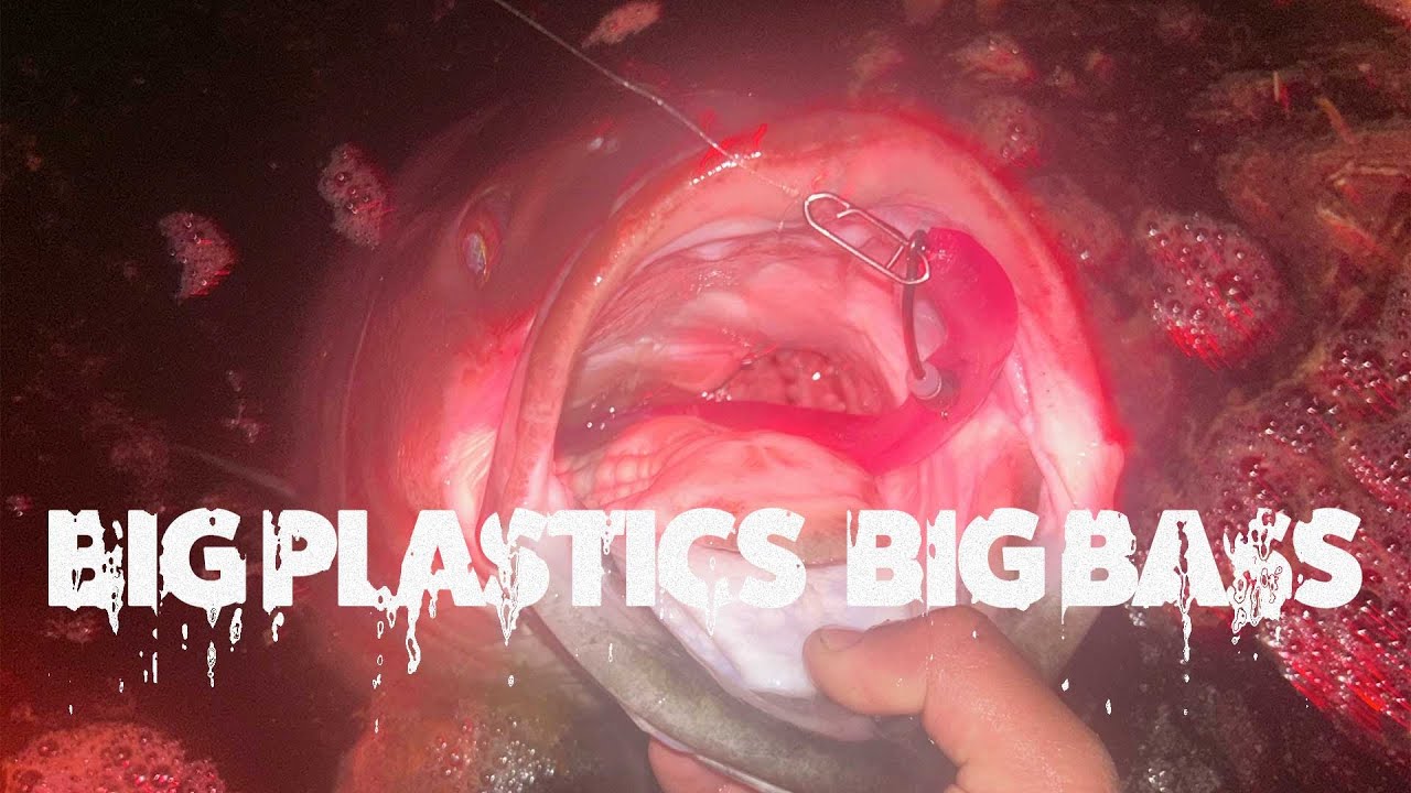 Big Soft Plastics, Big Bass: Our Top Rigging & Fishing Tips