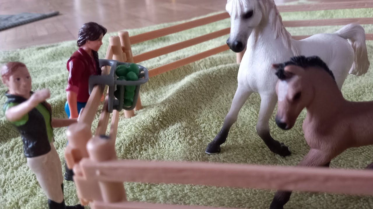 CrazyCaisy - Die Fohlengeburt -Geschichten mit Schleich-Pferden-