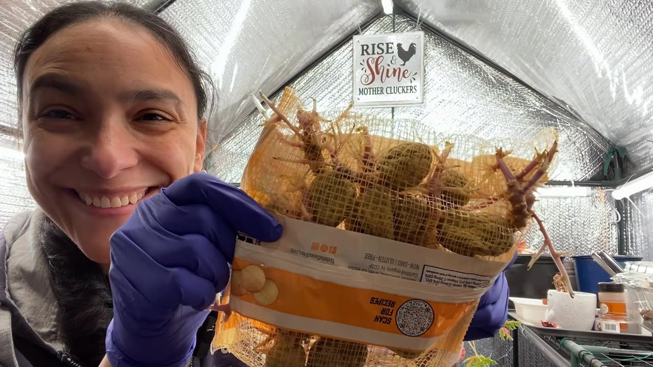 Bird Food, Meal Worms, and Sprouting Kitchen Leftovers | 2026 Feeding Fridays Ep. 03