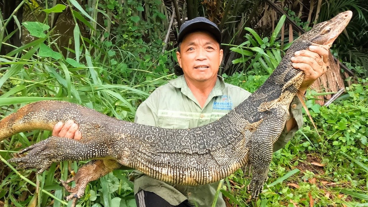 Thuần Phục Con Quái Vật Khủng Khiếp Nhất Trong Đầm Lầy Đã Bị Hạ Gục