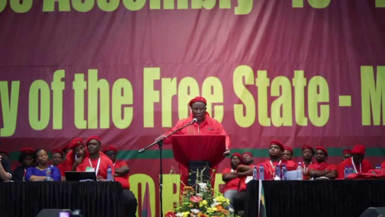 EFF CIC Political Report 1st National People's Assembly 13-16 December 2014