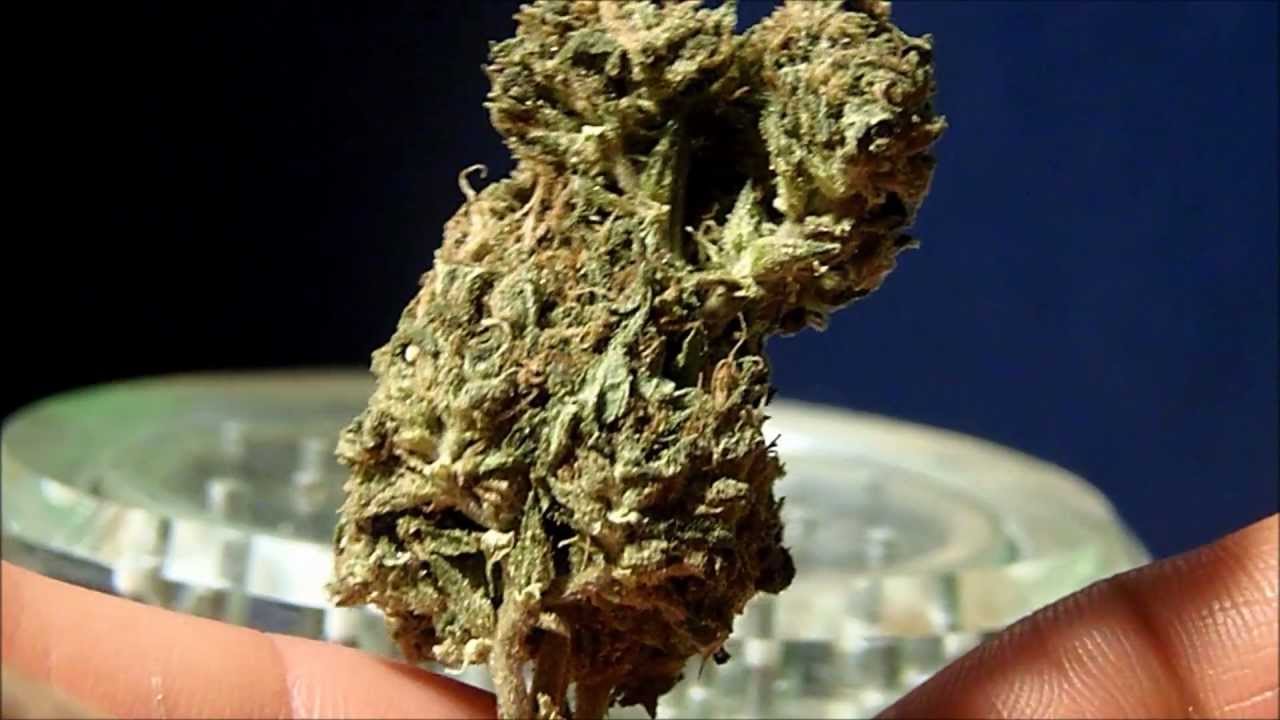 What Strain of Weed? Weeducation