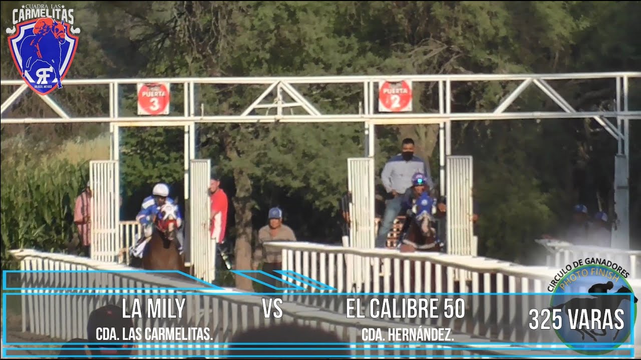 LA MILY CDA. CARMELITAS VS EL CALIBRE 50 CDA. HERNANDEZ. 325 VARAS. CARRIL SAN MARTIN HIDALGO, JAL