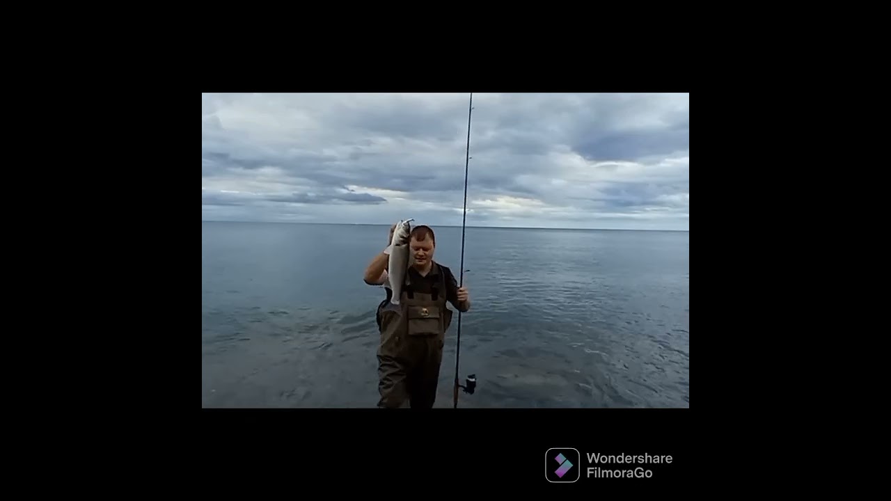 BASS fishing Ireland using plugs and savage gear gravity stick