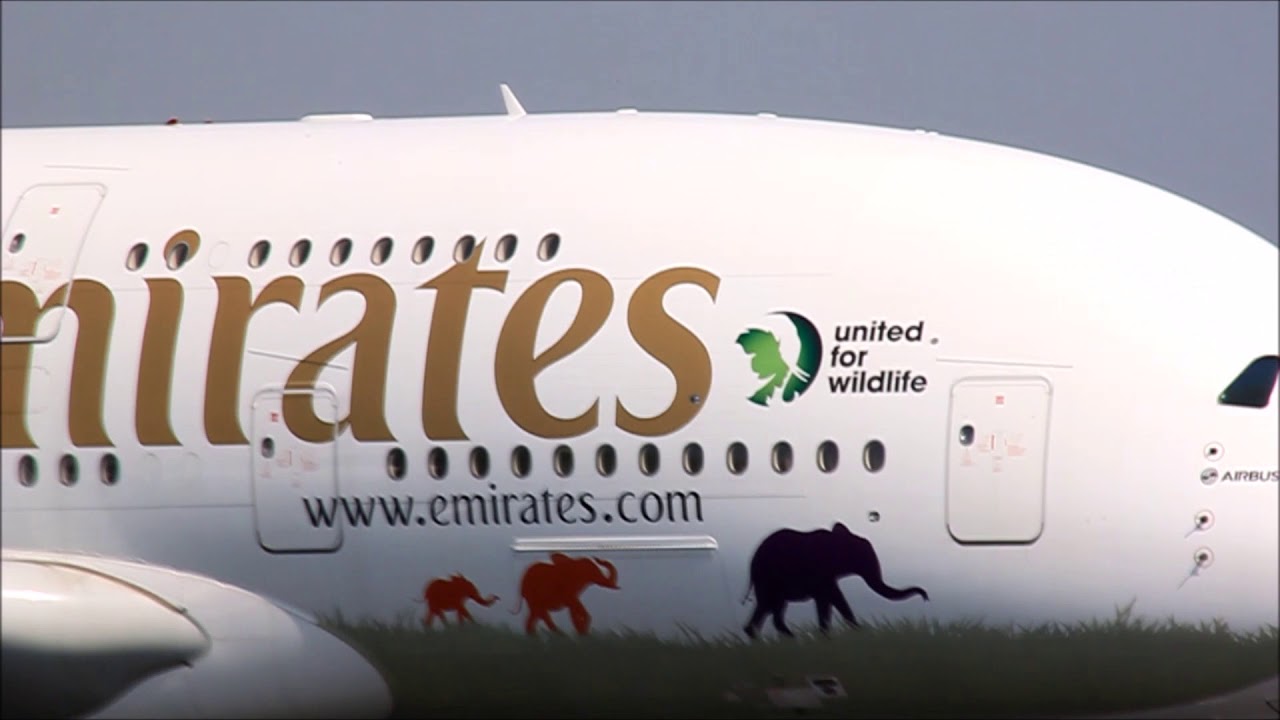 Schiphol Airport Spotting|Emirates Airbus A380-800|United For Wildlife livery