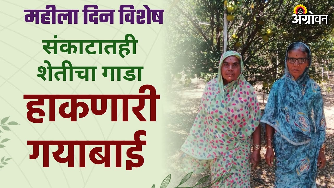 Women Farmer : कुटुंबाची ८ एकर शेतीतील प्रयोगशीलता दाखवून दिली नवी दिशा | Agrowon