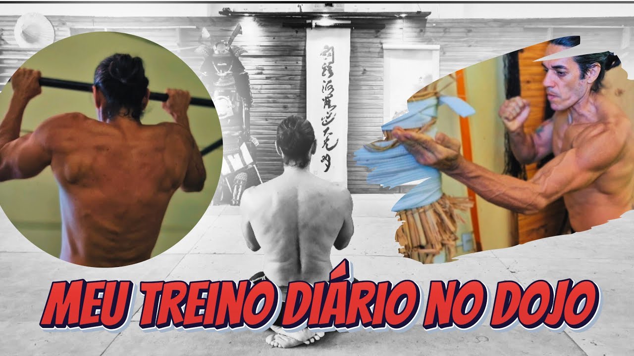 Meu treino Diário no Dojo
