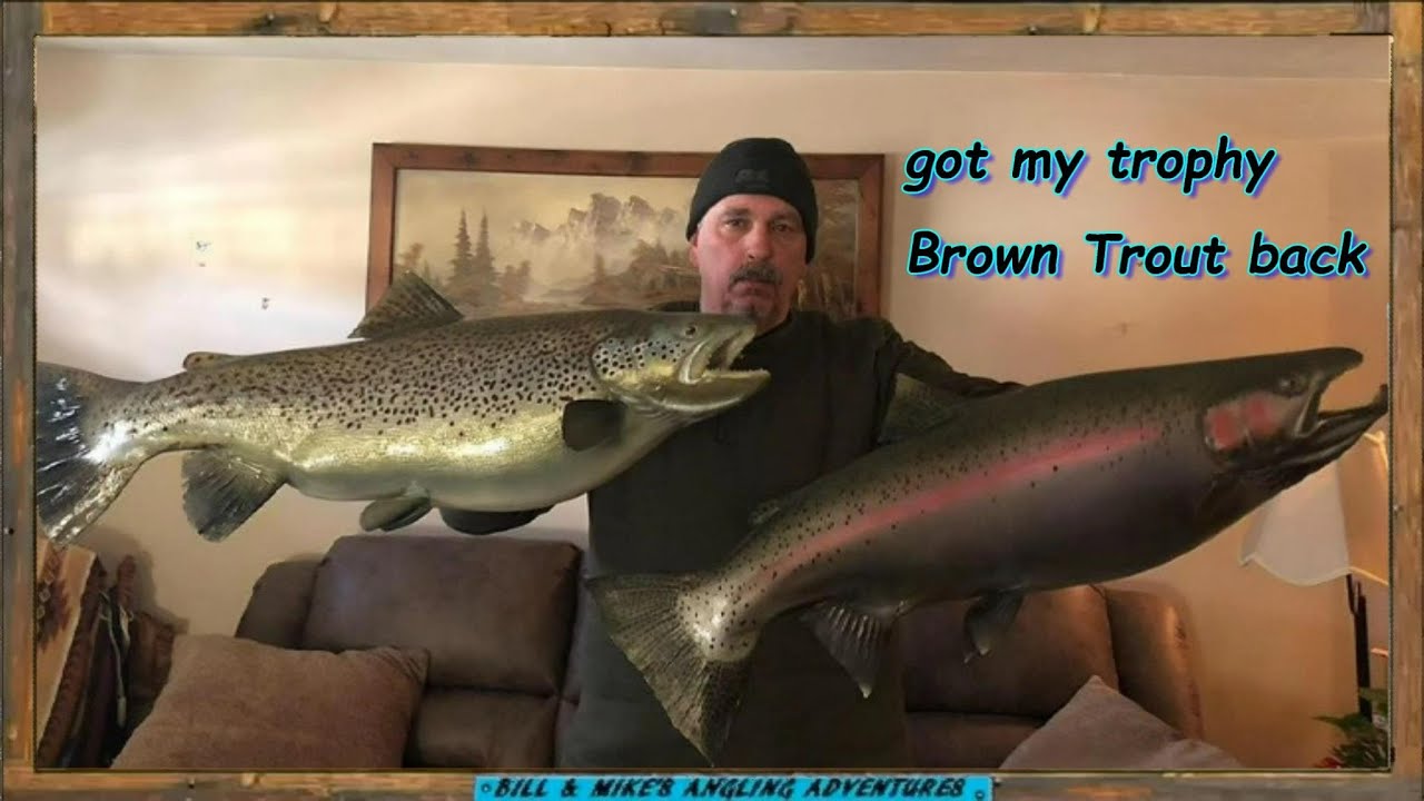 Replica Mount Trophy BROWN TROUT - Anglers Choice Fish Mounts Review