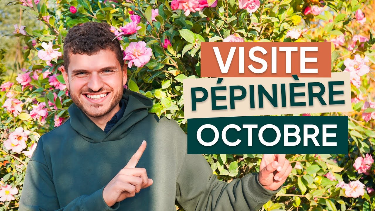 😍 Les couleurs d’octobre à la pépinière sont juste incroyables 🍂 (vous allez craquer !)