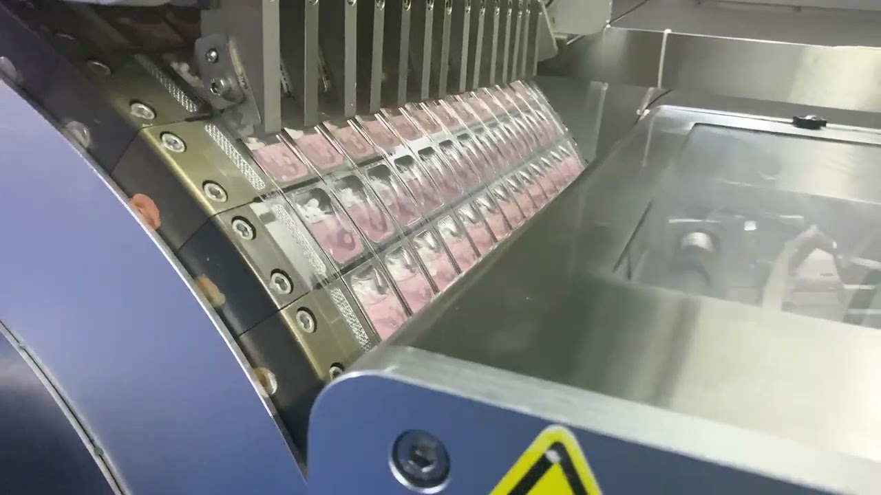 POLYVA Single Chamber Laundry Pods Production, Water Soluble Packaging Machine #laundrypodsmachine