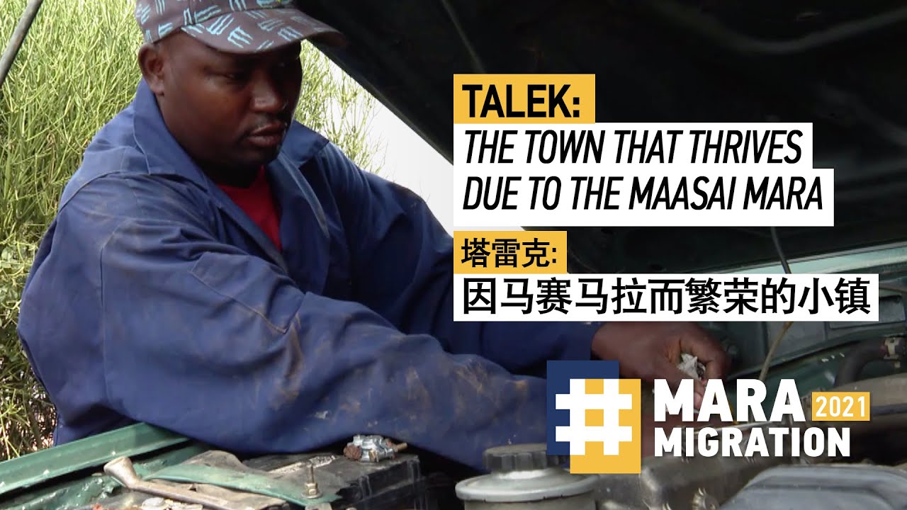 Talek: The town that thrives due to the Maasai Mara