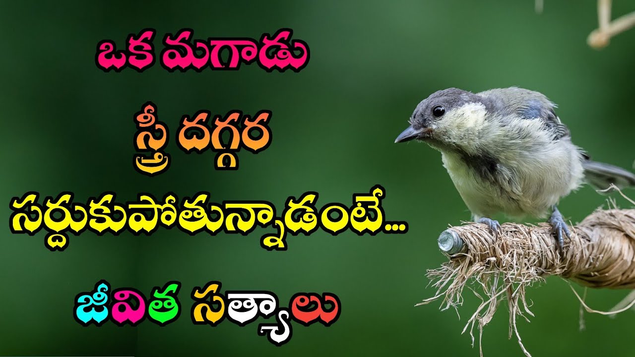 జీవిత సత్యాలు #357 |మంచి మాటలు|Inspirational quotes|Motivational quotes|సూక్తులు|Telugu quotes