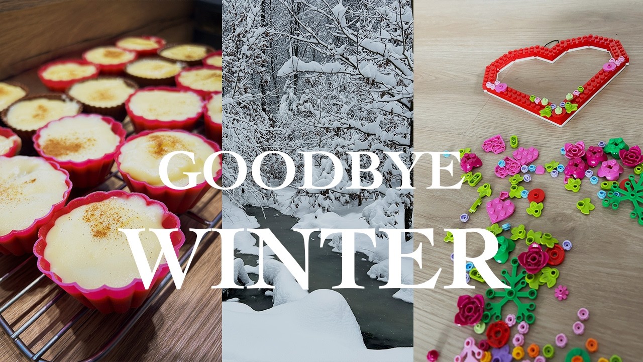 Goodbye, February ❄️ Trying Recipes from a Japanese Cookbook & Lego building ❤️