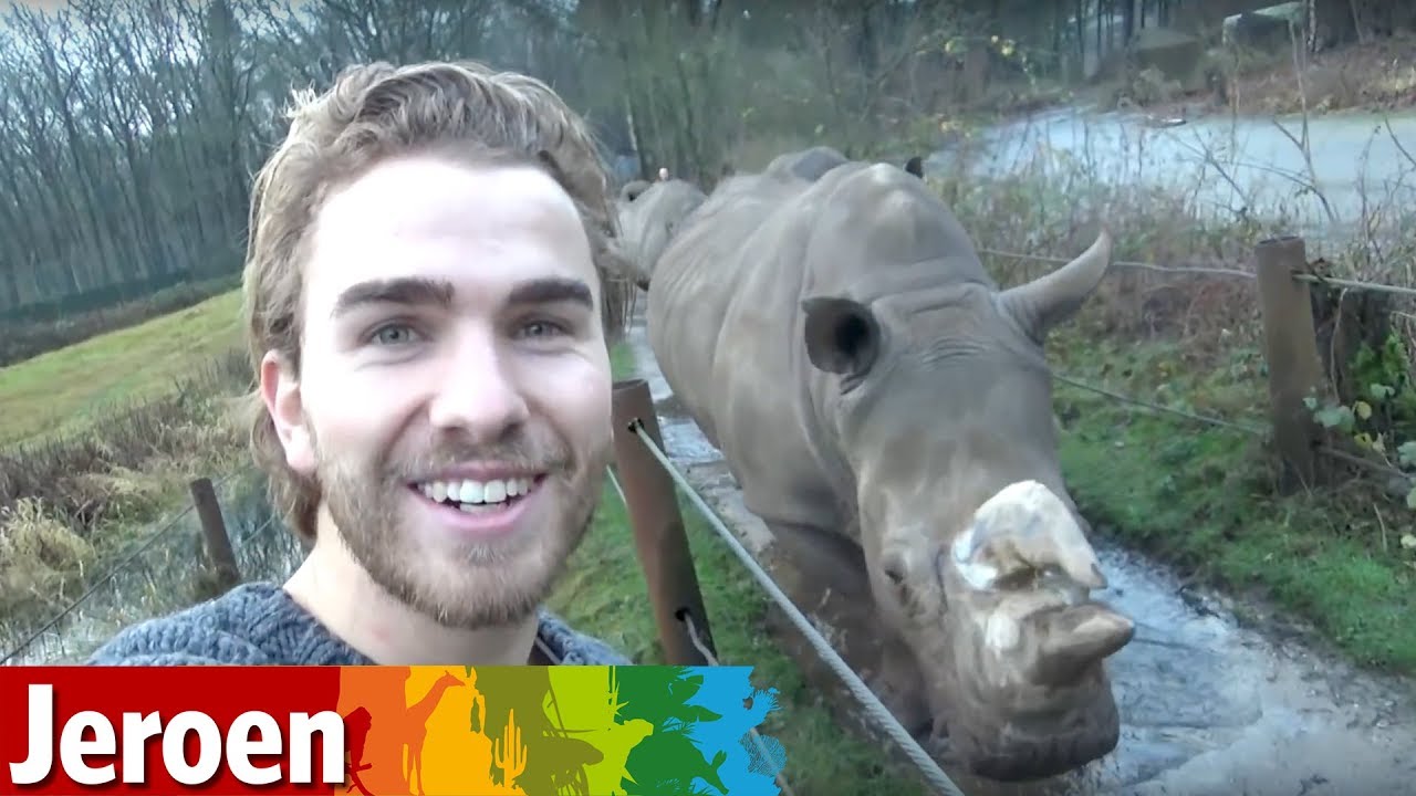 Jeroen brengt de neushoorns naar buiten!