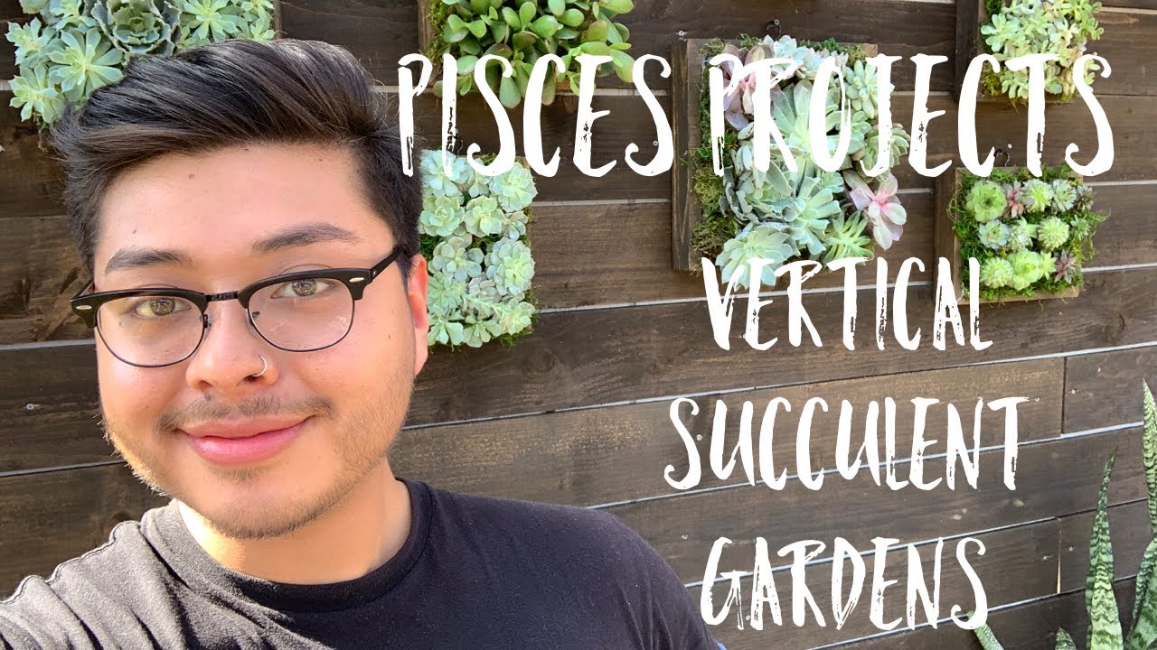 PISCES PROJECTS | VERTICAL SUCCULENT GARDENS